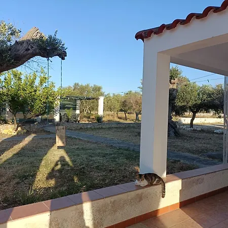 Villa Greta Vicino Ostuni E Torre Quaceto ヴィラ サン・ヴィート・デイ・ノルマンニ